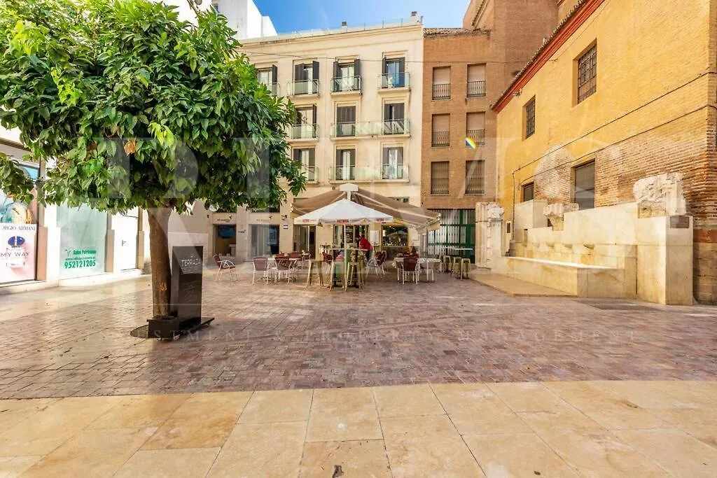 Penthouse With Terrace And Cathedral Views By Rems Apartment Malaga